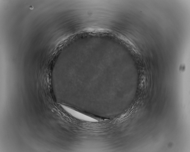 X0000099310966200805161409