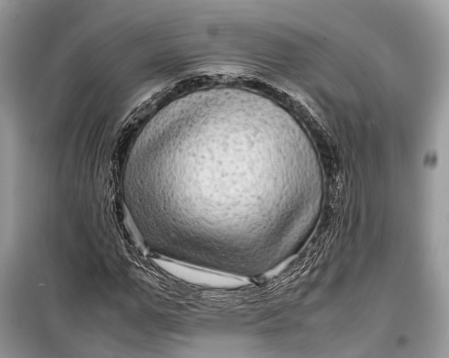 X0000099310967200805161409