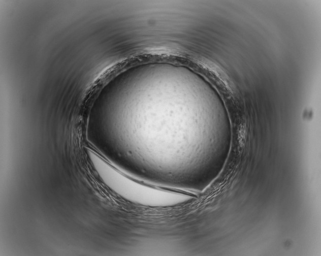 X0000099310968200805161409