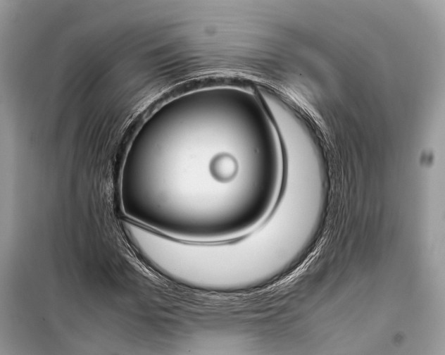 X0000099310969200805161409