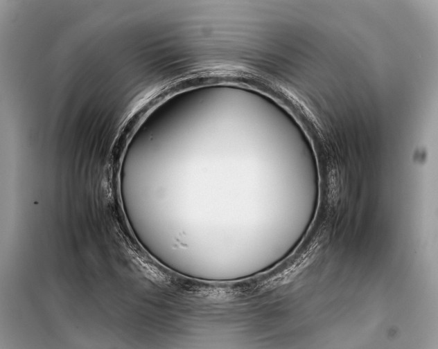 X0000099310970200805161409