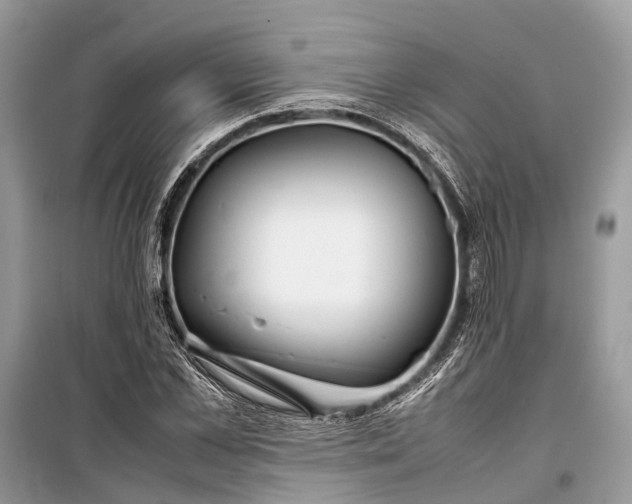 X0000099310973200805161409