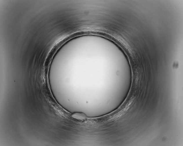 X0000099310974200805161409