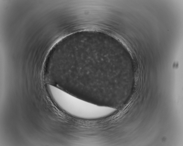 X0000099310975200805161409