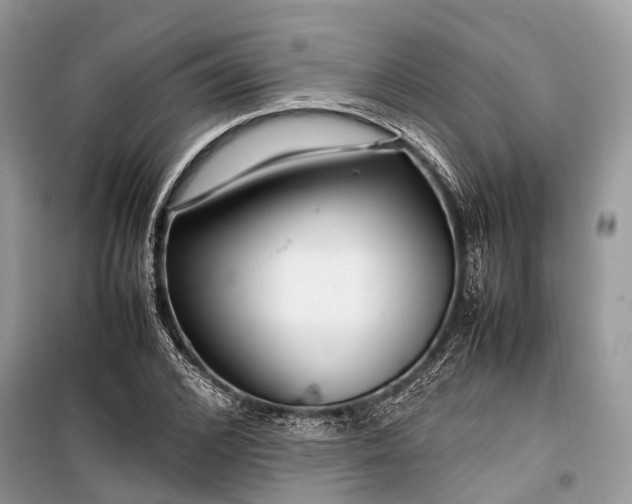 X0000099310976200805161409