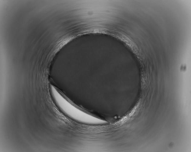 X0000099310977200805161409