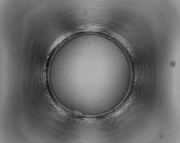 X0000099310978200805161409