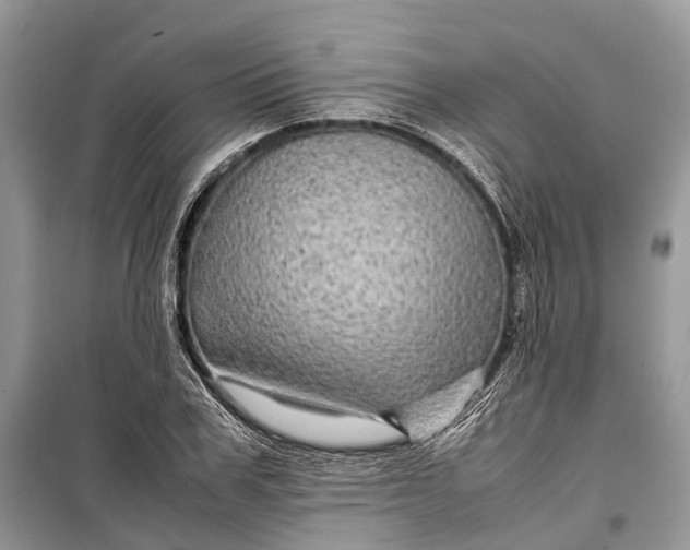 X0000099310979200805161409