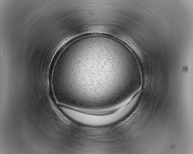 X0000099310980200805161409