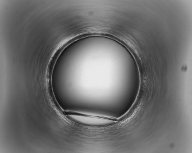 X0000099310981200805161409