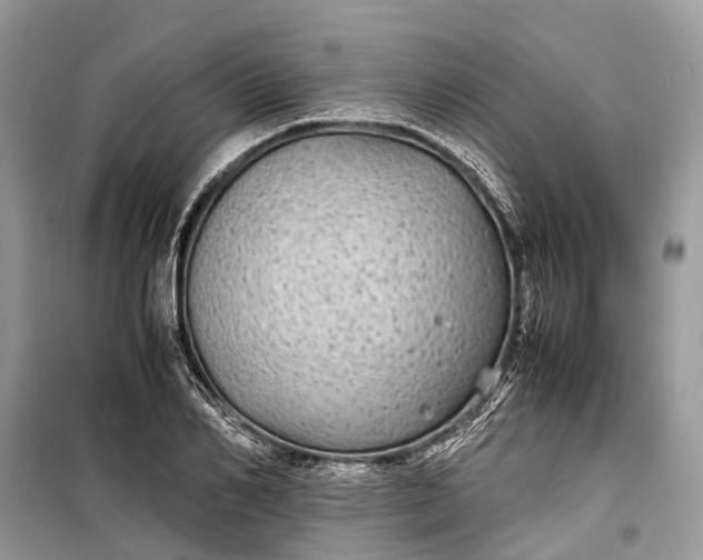 X0000099310982200805161409