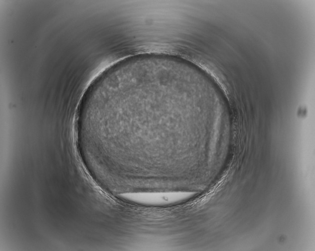 X0000099310983200805161409