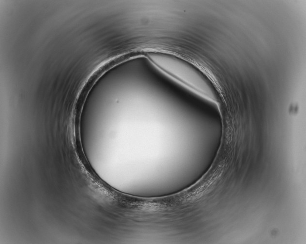 X0000099310984200805161409