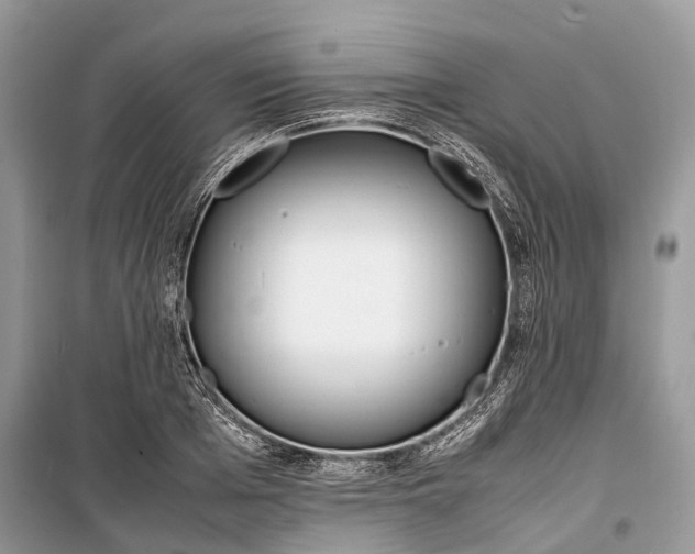 X0000099310985200805161409