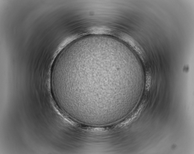 X0000099310986200805161409