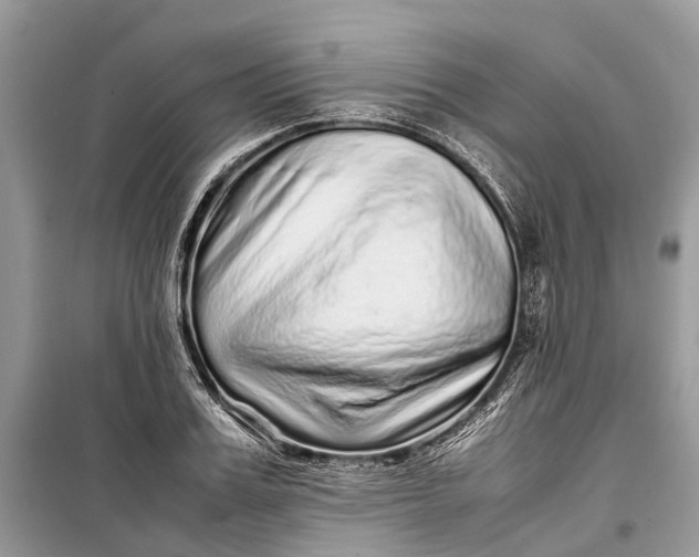 X0000099310987200805161409