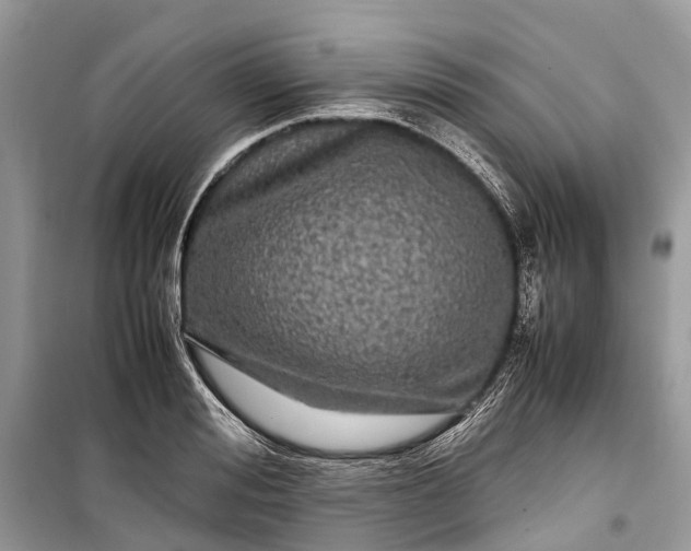 X0000099310988200805161409