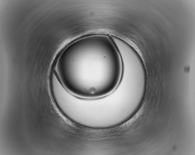 X0000099310989200805161408