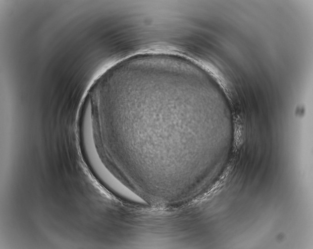 X0000099310990200805161408