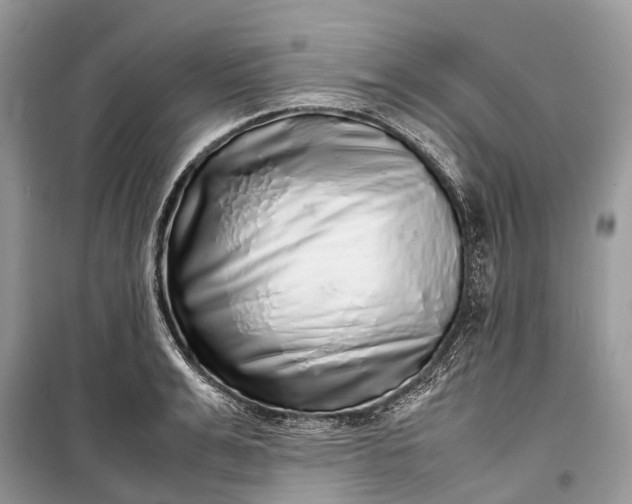 X0000099310991200805161408