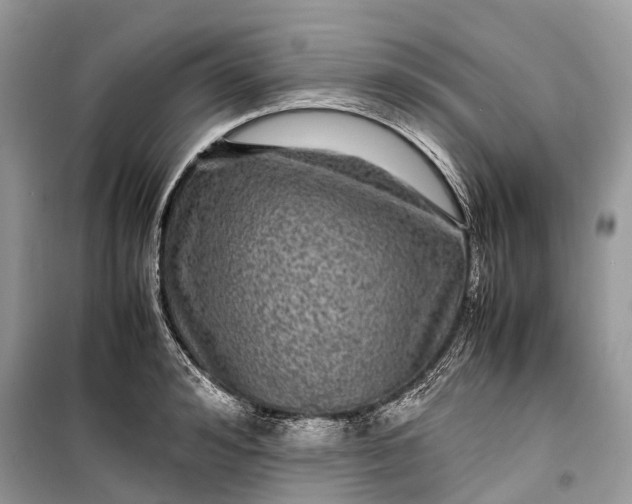 X0000099310992200805161408