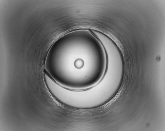 X0000099310993200805161408