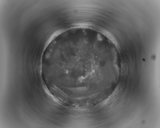 X0000099310994200805161408