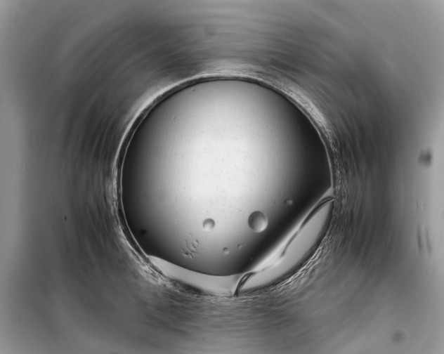 X0000099310996200805161408