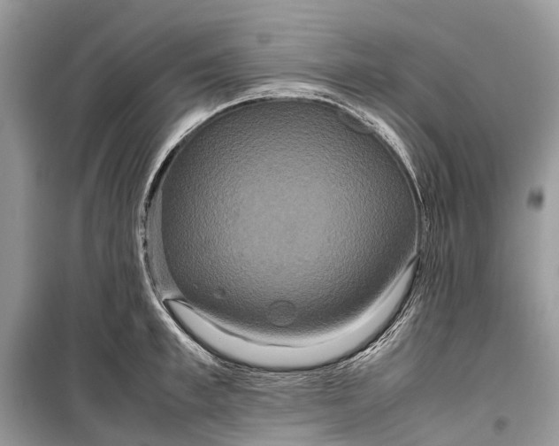 X0000099310997200805161408