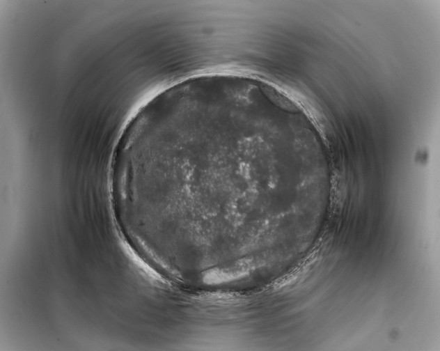 X0000099310998200805161408