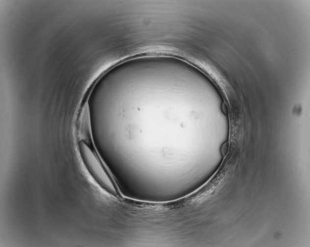 X0000099310999200805161408