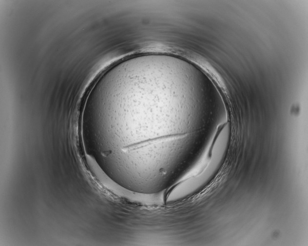 X0000099311000200805161408