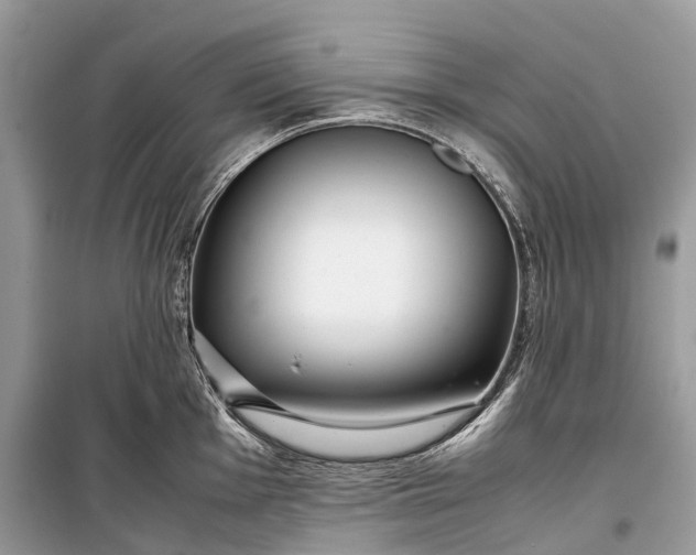 X0000099311001200805161408