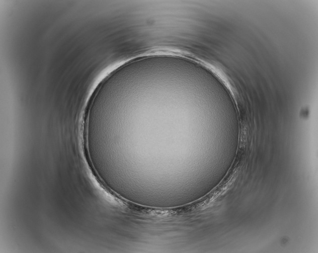 X0000099311003200805161408