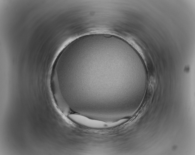 X0000099311005200805161408