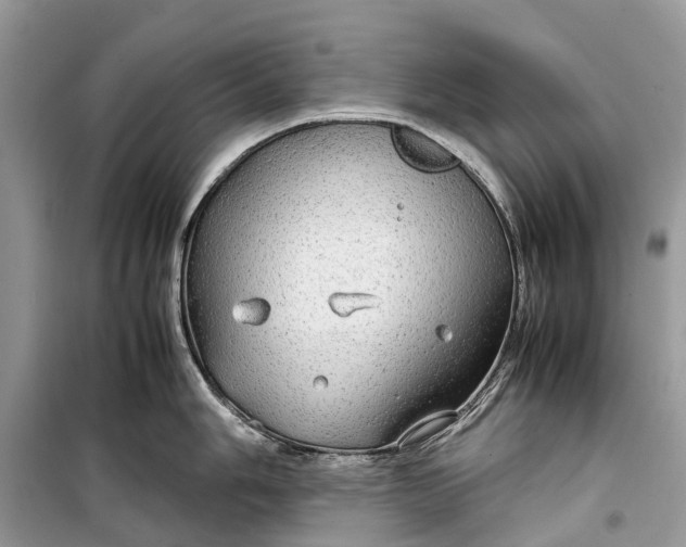 X0000099311006200805161408