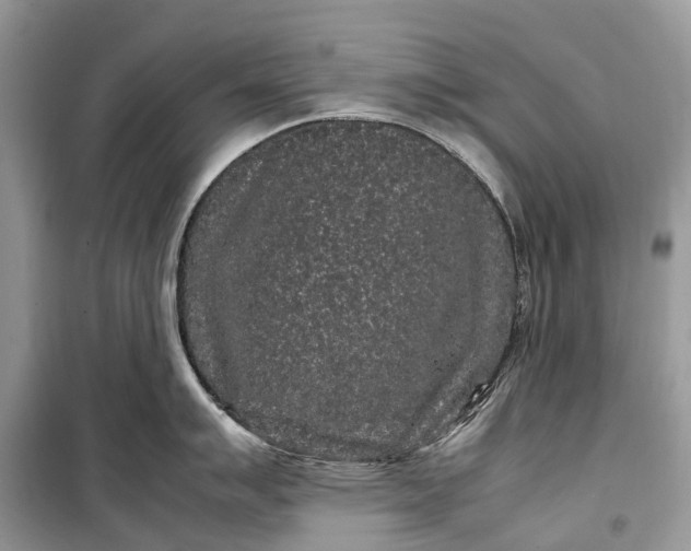 X0000099311007200805161408