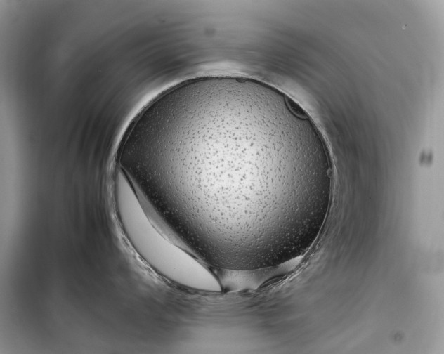 X0000099311008200805161408