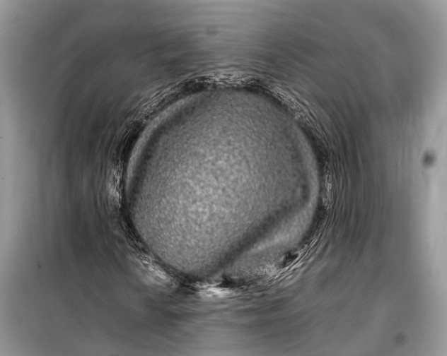 X0000099311010200805161408