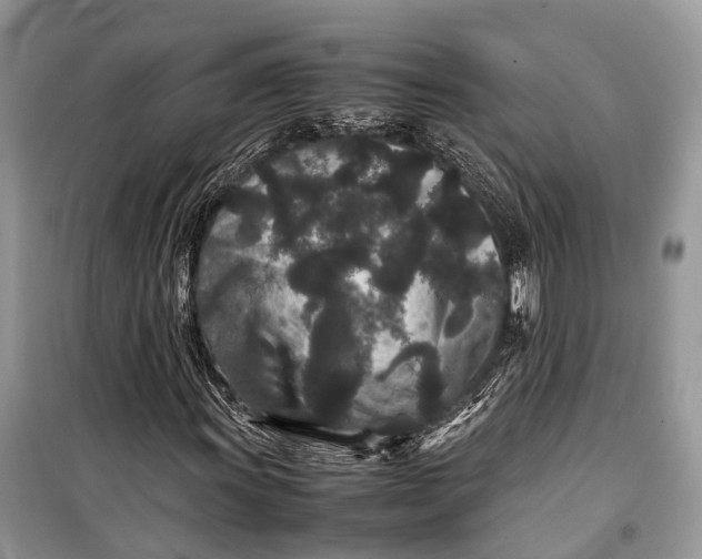 X0000099311011200805161408