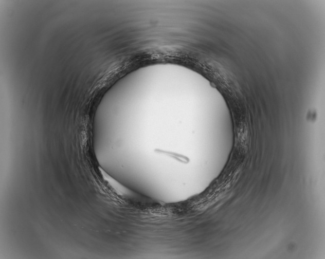 X0000099311012200805161408