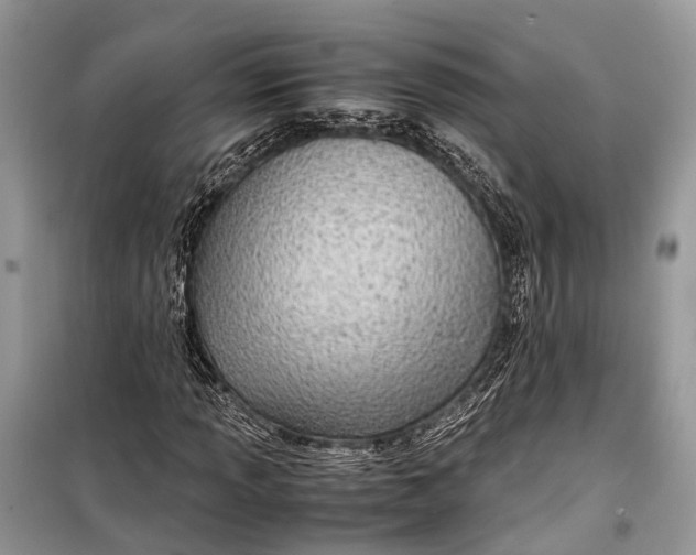 X0000099311013200805161408