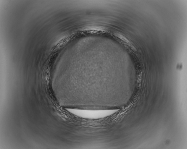 X0000099311014200805161408