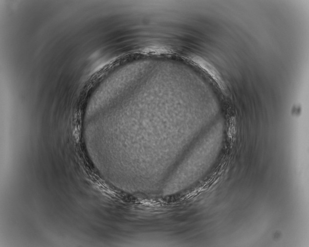 X0000099311015200805161408