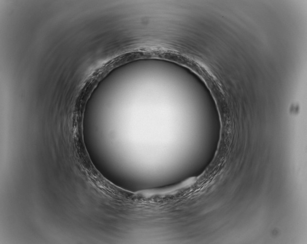 X0000099311016200805161408