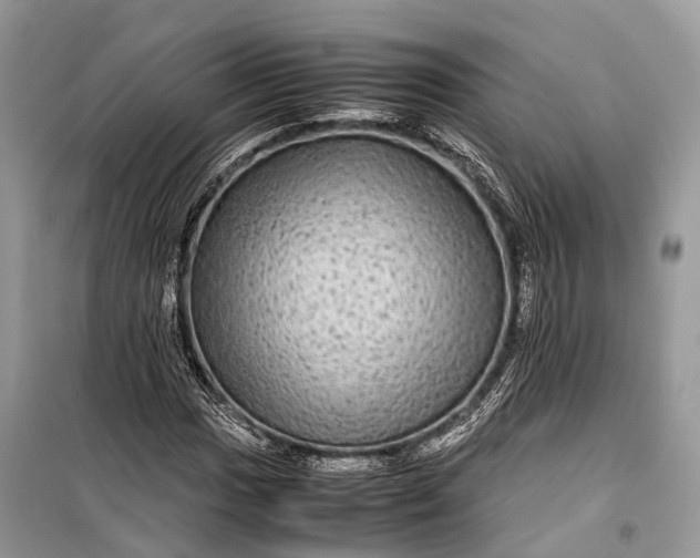 X0000099311017200805161408