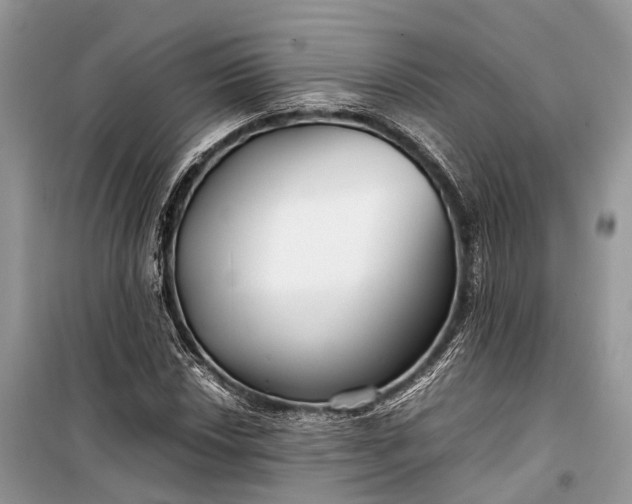 X0000099311018200805161408