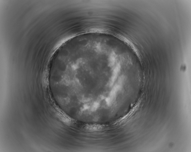 X0000099311019200805161408