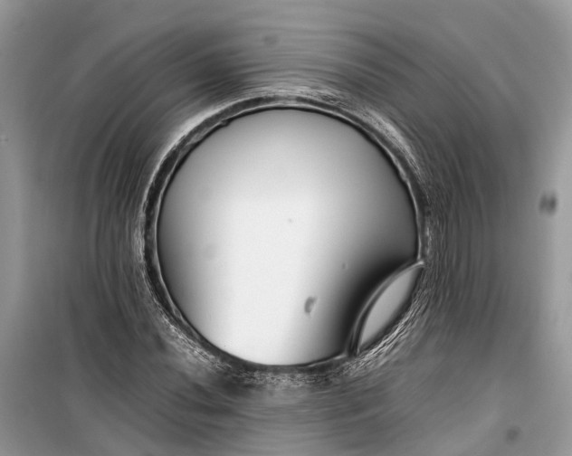 X0000099311020200805161408