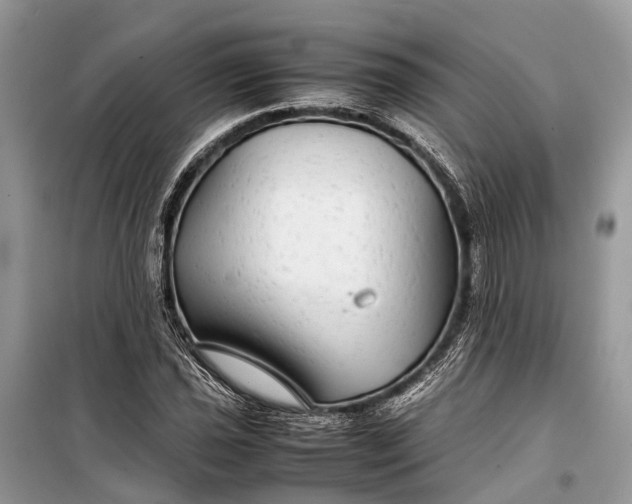 X0000099311021200805161408